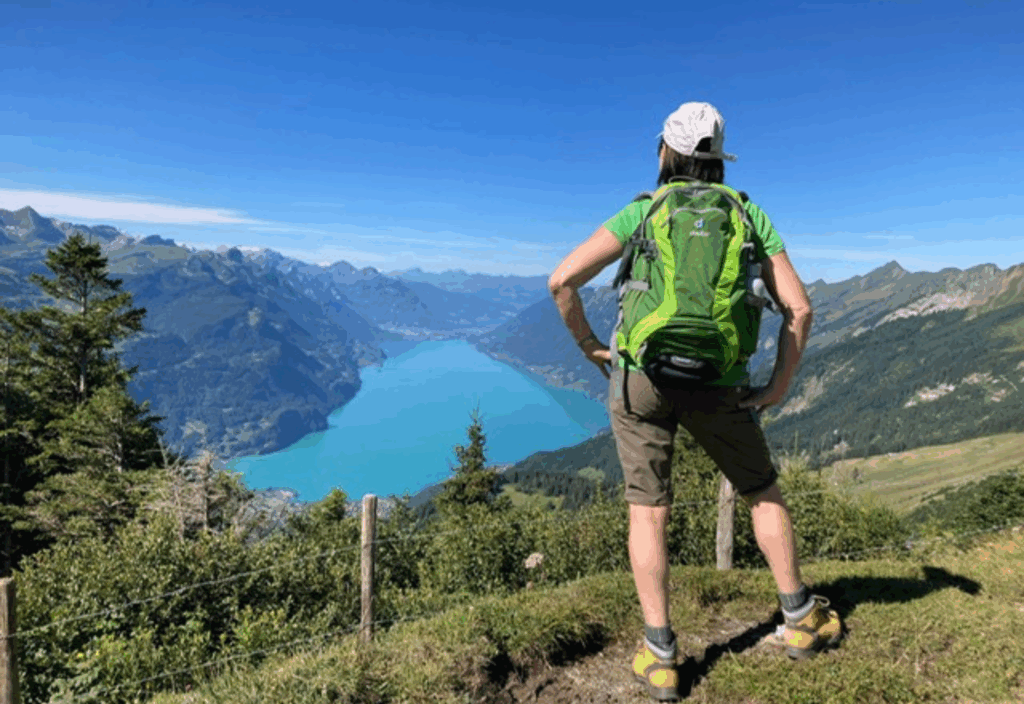 afsystem_reyhan-sari